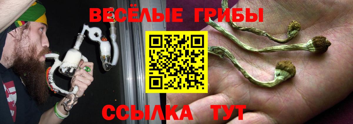 Псилоцибиновые грибы Psilocybe  сколько стоит  Чусовой  Псилоцибиновые грибы Psilocybe  Вход с VPN 
